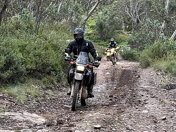 Suzuki DR650 on a muddy forest trail, Victorian High Country